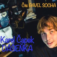 Mluvené slovo Dášeňka čili život štěněte