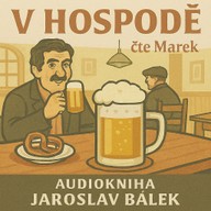 Mluvené slovo V hospodě