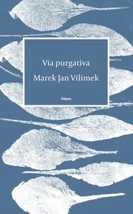 E-kniha Via purgativa