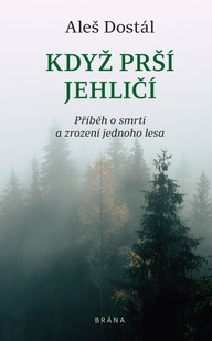 E-kniha Když prší jehličí