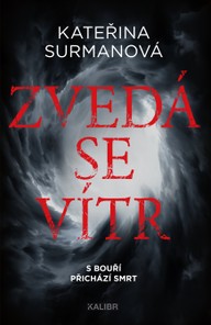 E-kniha Zvedá se vítr