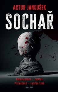 E-kniha Sochař