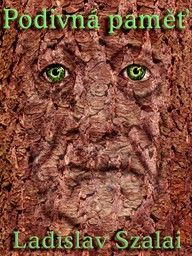 E-kniha Podivná paměť