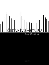 E-kniha Čekání v zástupu