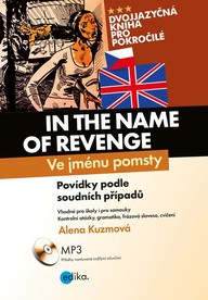E-kniha Ve jménu pomsty - In the Name of Revenge