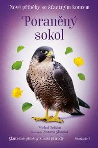 E-kniha Nové příběhy se šťastným koncem – Poraněný sokol