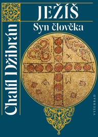 E-kniha Ježíš Syn člověka