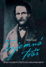 E-kniha Tajemná tvář