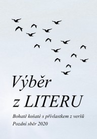 E-kniha Výběr z LITERU
