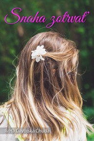 E-kniha Snaha zotrvať