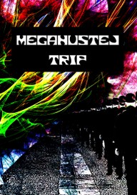 E-kniha Megahustej trip