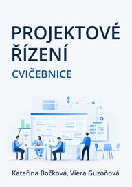 E-kniha Projektové řízení