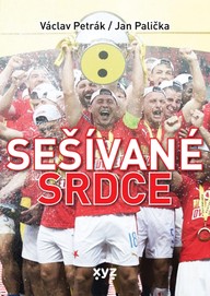 E-kniha Sešívané srdce