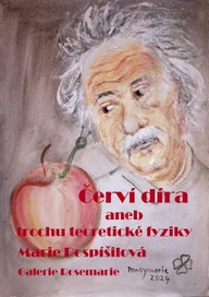 E-kniha Červí díra aneb trochu teoretické fyziky