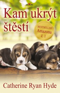 E-kniha Kam ukrýt štěstí