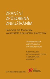 E-kniha Zranění způsobená zneužíváním