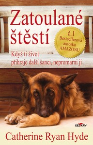 E-kniha Zatoulané štěstí