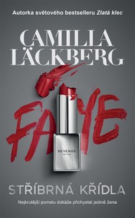 E-kniha Stříbrná křídla