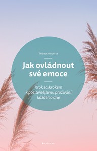 E-kniha Jak ovládnout své emoce