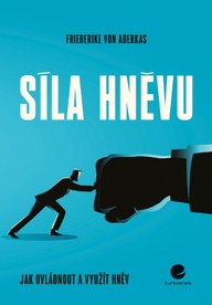 E-kniha Síla hněvu