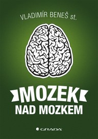 E-kniha Mozek nad mozkem