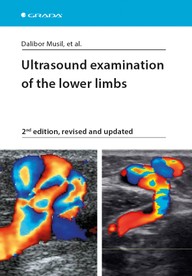 E-kniha Ultrasound examination of the lower limbs