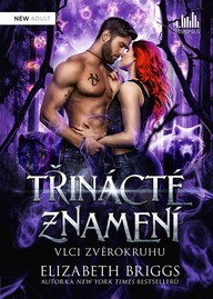 E-kniha Třinácté znamení