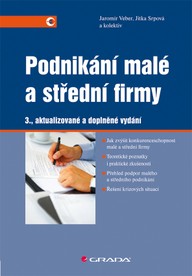 E-kniha Podnikání malé a střední firmy