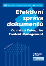 E-kniha Efektivní správa dokumentů