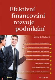E-kniha Efektivní financování rozvoje podnikání