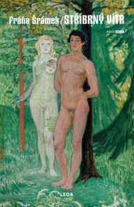 E-kniha Stříbrný vítr