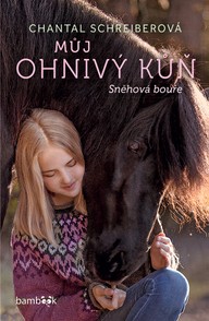 E-kniha Můj ohnivý kůň – Sněhová bouře