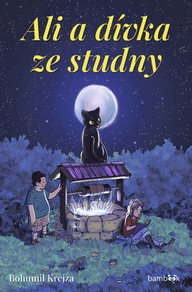 E-kniha Ali a dívka ze studny