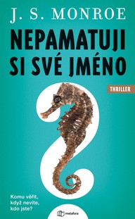 E-kniha Nepamatuji si své jméno