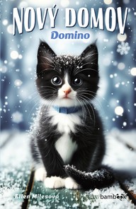 E-kniha Nový domov – Domino