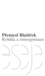 E-kniha Kritika a interpretace