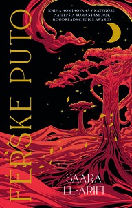 E-kniha Férske puto