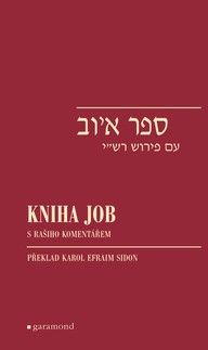 E-kniha Kniha Job