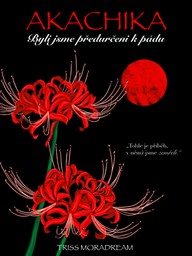 E-kniha Akachika