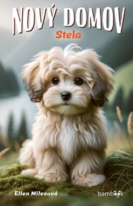 E-kniha Nový domov – Stela