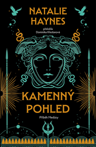 E-kniha Kamenný pohled