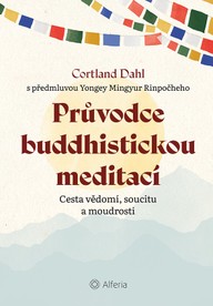 E-kniha Průvodce buddhistickou meditací