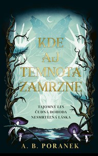 E-kniha Kde aj temnota zamrzne