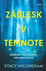 E-kniha Záblesk v temnote