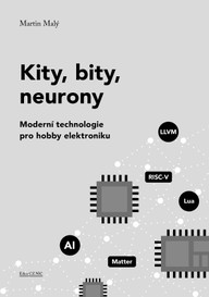 E-kniha Kity, bity, neurony