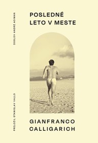 E-kniha Posledné leto v meste