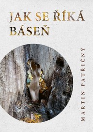 E-kniha Jak se říká báseň