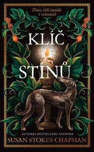 E-kniha Klíč stínů