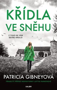E-kniha Křídla ve sněhu