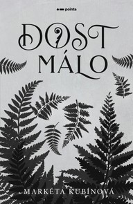 E-kniha Dost málo